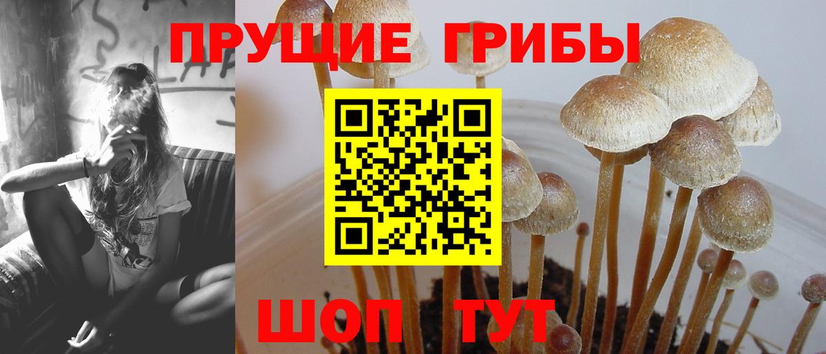 Галлюциногенные грибы ЛСД  Псилоцибиновые грибы мицелий  Вход с VPN  Железноводск 